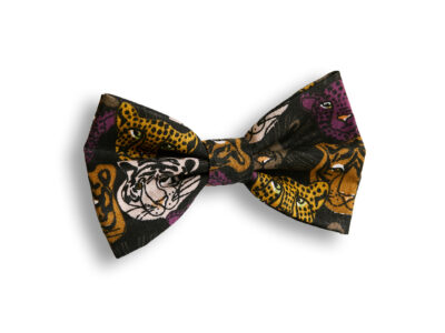 Metsikud kassid kikilips