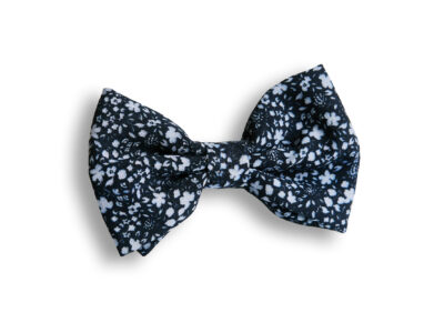 Sinine lilleline kikilips